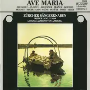 Bach / Bruckner / Franck / Verdi / Reger a.o. - Ave Maria