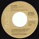 7inch Vinyl Single - Zulema - Standing In The Back Row Of Your Heart