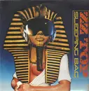 12inch Vinyl Single - ZZ Top - Sleeping Bag