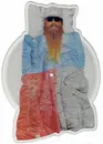 Picture LP - ZZ Top - Sleeping Bag - Picture Disc