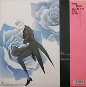 12inch Vinyl Single - 佐伯りき - 竜の眠る星　セレツネワ - OBI + insert