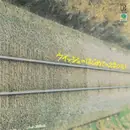 LP - ウイッシュ - ウイッシュのはじめてのえるぴい - OBI + Booklet