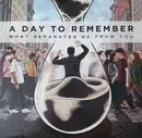 LP - A Day To Remember - What Separates Me From You