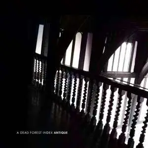 A DEAD FOREST INDEX - Antique