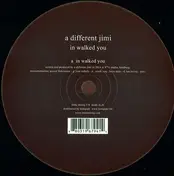 A Different Jimi - In Walked You