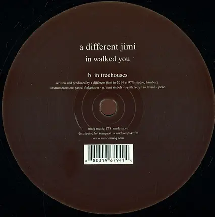 A Different Jimi - In Walked You