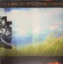 LP - A Drop In The Gray - Certain Sculptures