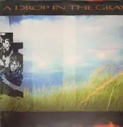 LP - A Drop In The Gray - Certain Sculptures