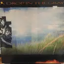 LP - A Drop In The Gray - Certain Sculptures