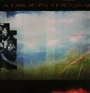 A Drop In The Gray - Certain Sculptures