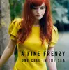 CD - A Fine Frenzy - One Cell In The Sea