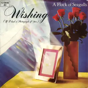 A Flock of Seagulls - Wishing (If I Had A Photograph Of You)