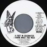 A Foot In Coldwater - I Know What You Need