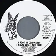 A Foot In Coldwater - I Know What You Need