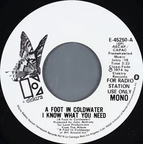 A Foot In Coldwater - I Know What You Need