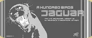 A Hundred Birds - Jaguar