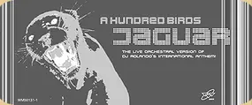 A HUNDRED BIRDS - Jaguar