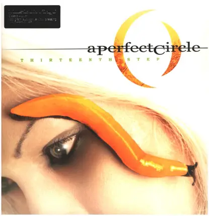 A Perfect Circle - Thirteenth Step