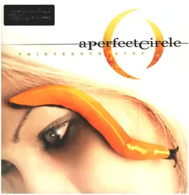 A Perfect Circle - Thirteenth Step