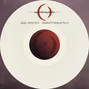 A Perfect Circle - The Doomed / Disillusioned