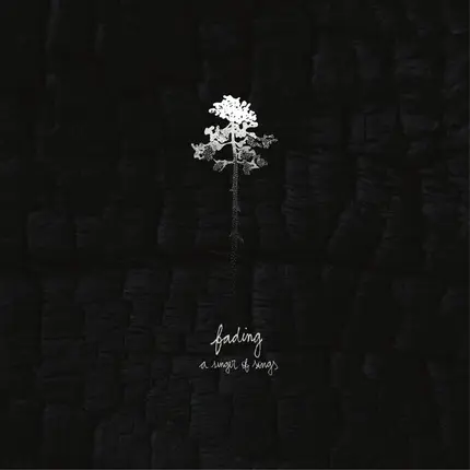 A Singer Of Songs - Fading