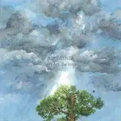 a weather - Everyday Balloons