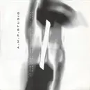 Double LP - A.M.P. Studio - At The Alien Registration Office With Music For Misfits And Malcontents