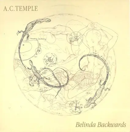 A.C. Temple - Belinda Backwards