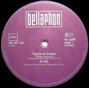 12inch Vinyl Single - A.I.M. - Thailand Seeds