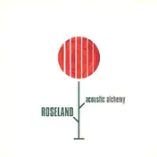 Acoustic Alchemy - Roseland