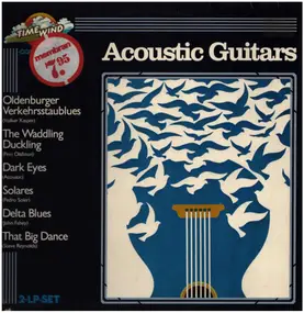 Acoustic - Acoustic Guitars