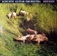 Acoustic Guitar Orchestra - Odyssee