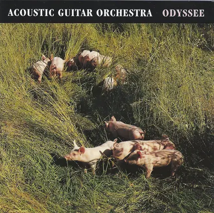 Acoustic Guitar Orchestra - Odyssee