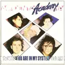7inch Vinyl Single - Academy - You Are In My System