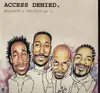 Double LP - Access Denied - Bullshit & Politics pt 1