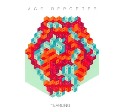 Ace Reporter - Yearling