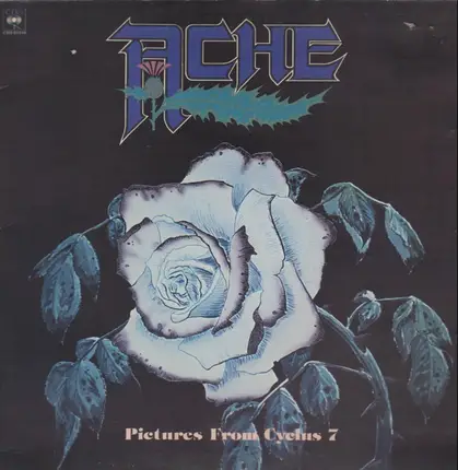 Ache - Pictures from Cyclus 7