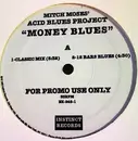12inch Vinyl Single - Acid Blues Project - Money Blues - Promo