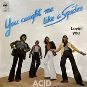 Acid - You Caught Me Like A Spider