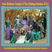 Acid Mothers Temple & the Melting Paraiso U.F.O. - Troubadours from Another Heavenly World