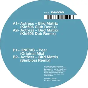 Actress - Bird Matrix -Remix-