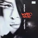 12inch Vinyl Single - Aaliyah - Try Again (Romeo Must Die OST)
