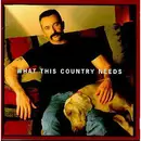 CD - Aaron Tippin - What This Country Needs