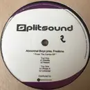 12inch Vinyl Single - Abnormal Boyz pres. Freakme - From The Center EP