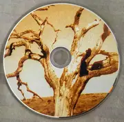 CD - Above The Orange Trees , Christian Kiefer - The Inexplicable Falling