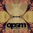 12inch Vinyl Single - Abonné - Bongospace