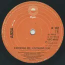 7inch Vinyl Single - Abba - Knowing Me, Knowing You