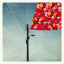 12inch Vinyl Single - Abrakadabra , Magnapinna - Split