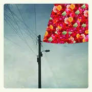 12inch Vinyl Single - Abrakadabra , Magnapinna - Split