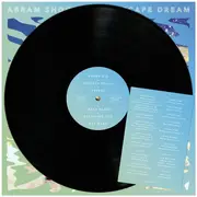 LP & MP3 - Abram Shook - Landscape Dream